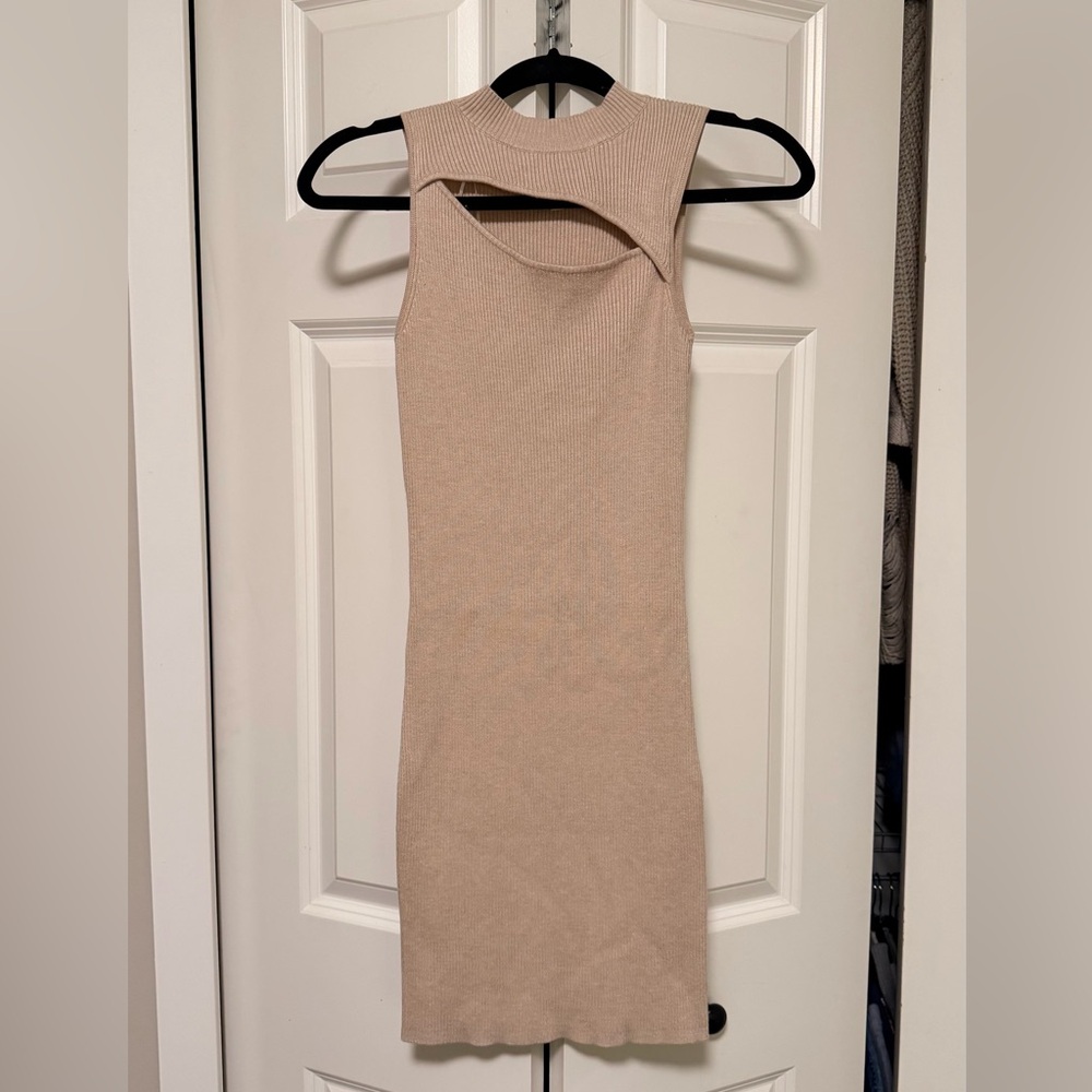 Pink Rose Beige Dress